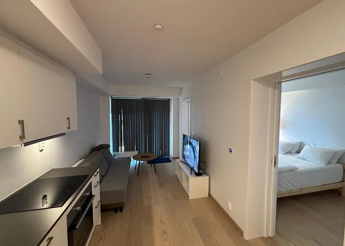 Daire New, Modern In - Close To The Airport Jessheim